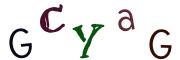 Bild-CAPTCHA