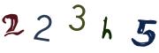 Bild-CAPTCHA