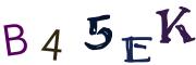 Bild-CAPTCHA