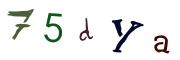 Bild-CAPTCHA