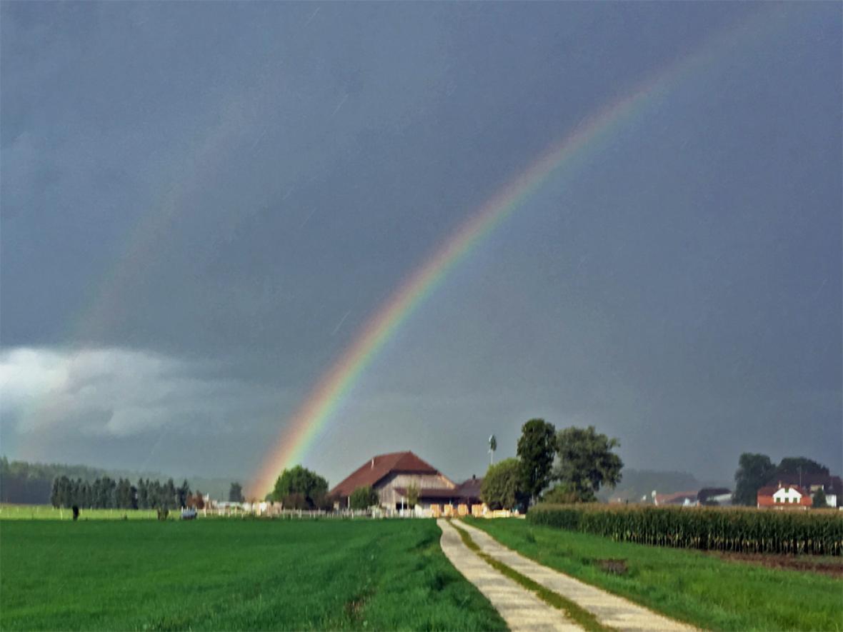 Regenbogen