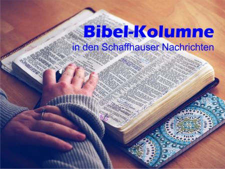 Bibel-Kolumne